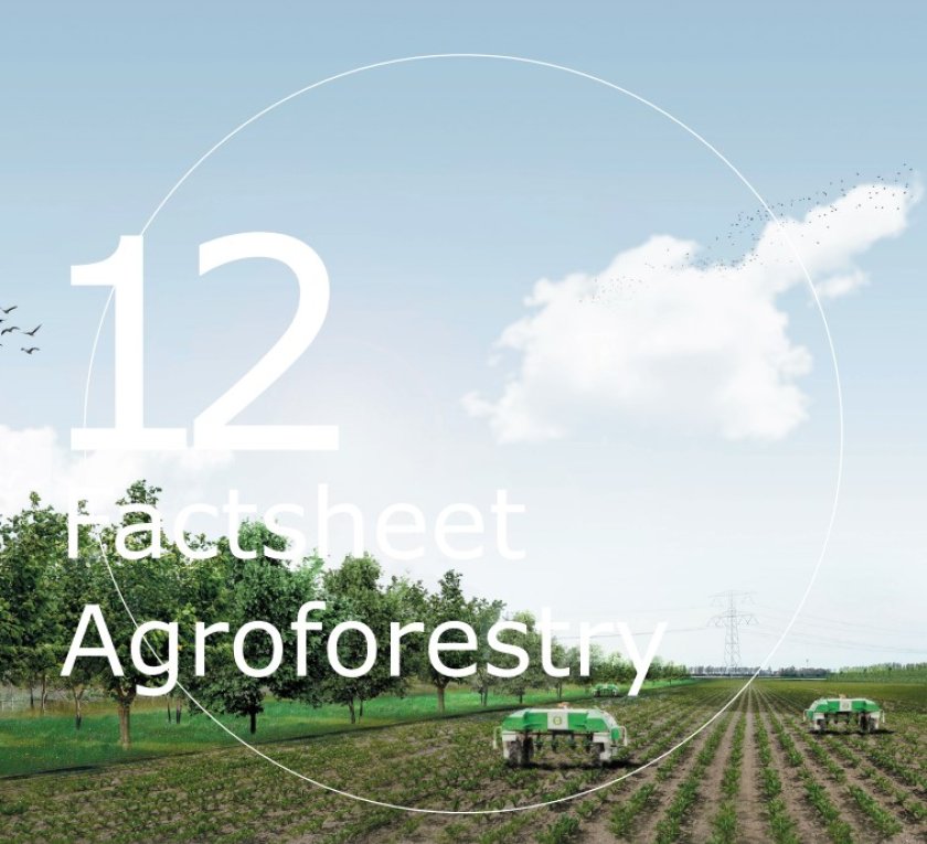 Factsheet Agroforestry 12