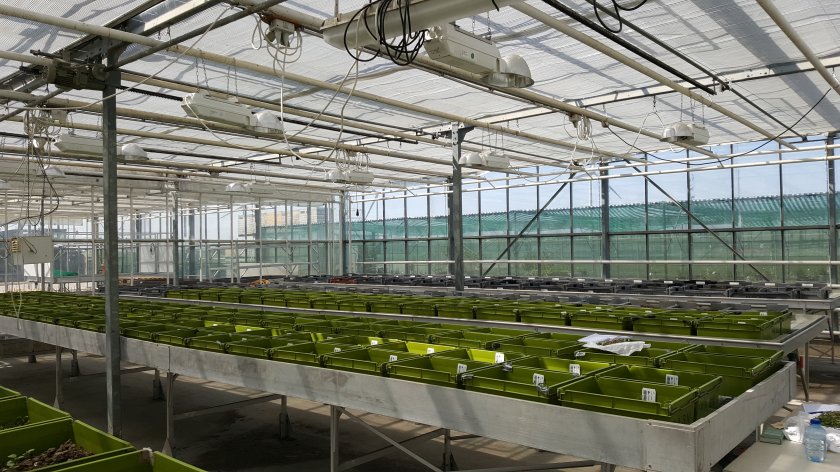 bakken zaadbank nulmeting.jpg