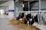Proef vindt plaats in milieustal Proef vindt plaats in milieustal