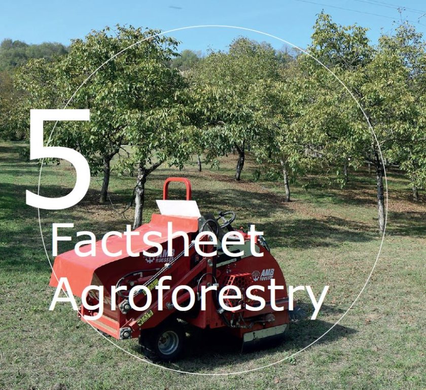 Agroforestry; wat zijn de mogelijkheden van mechanisatie?