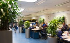 Foto: Marel (Stork) Poultry BV