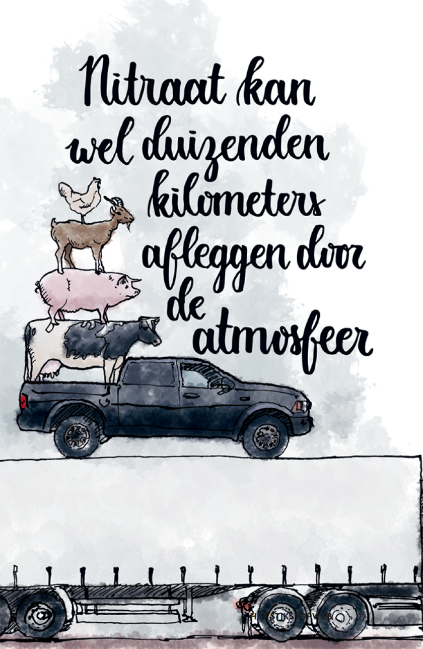 Stikstofweb_illustratie.PNG