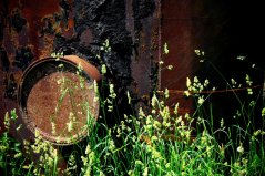 shutterstock_1723486387 resize.jpg