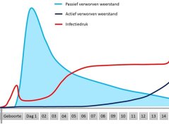 Klik op de afbeelding voor een overzicht van infectiedruk en weerstand van het pasgeboren kalf Klik op de afbeelding voor een overzicht van infectiedruk en weerstand van het pasgeboren kalf