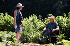 Hoeve Klein Mariëndaal, Arnhem. Foto: Roy Hendrikx