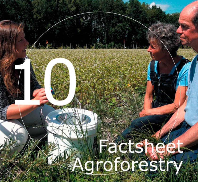Factsheet Agroforestry 10