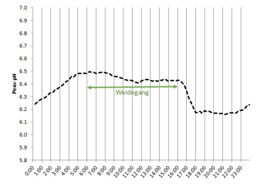 Figuur 1 Verloop gemiddelde pens-pH gemeten met een pensbolus bij 8 koeien. Weidegang tussen 6:00 en 16:00 uur.