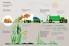 FINAL_1500x1000_fomaat_illustraties_WUR4_Infographic2@1.5x.png