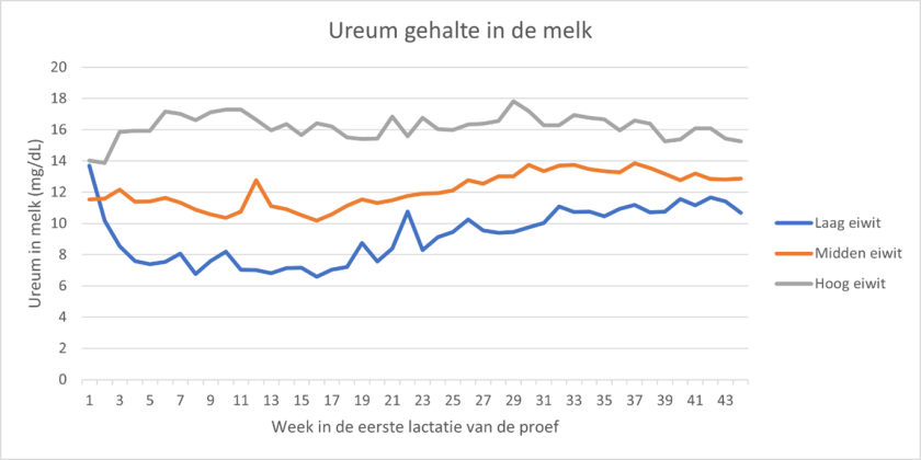 Ureum gehalte in de melk van koeien met verschillende eiwitgehaltes in het rantsoen (Laag: 13.3%; Midden 14.3%; Hoog: 15.4%) tijdens de eerste lactatie (44 weken) van de proef. Ureum gehalte in de melk van koeien met verschillende eiwitgehaltes in het rantsoen (Laag: 13.3%; Midden 14.3%; Hoog: 15.4%) tijdens de eerste lactatie (44 weken) van de proef.