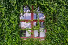 shutterstock_1134962012 resize.jpg