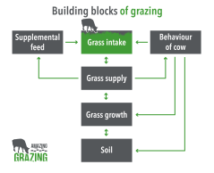 buildingblocks.png buildingblocks.png
