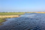 Paradijs voor weidevogels