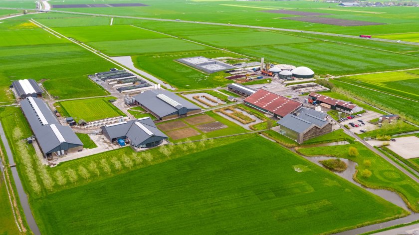 Dairy Campus in de zomer van 2021 Dairy Campus in de zomer van 2021