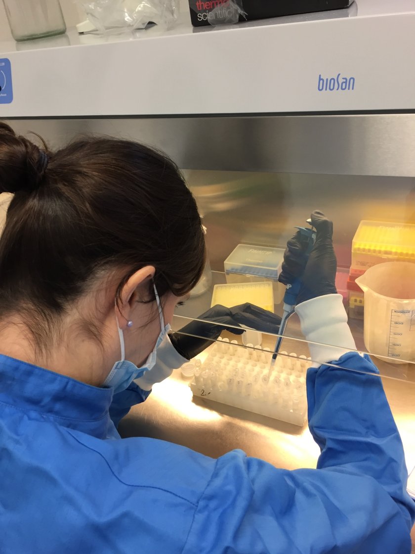 Taking laboratory samples, credits: WUR