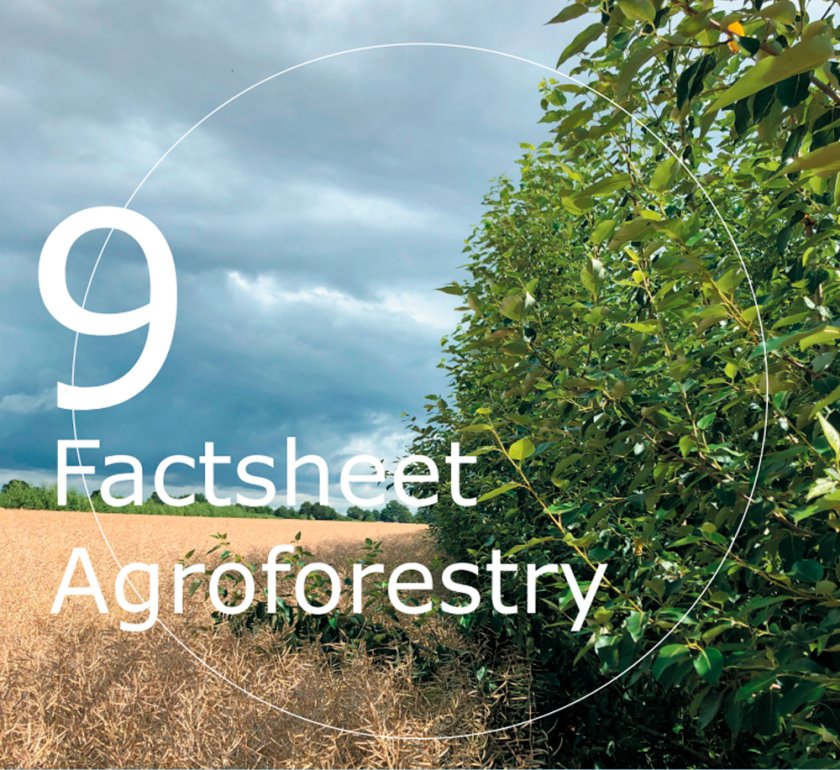 Agroforestry fact 9