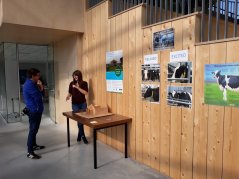 Er werden ook onderzoeken gepresenteerd, zoals hier door Louise Kremer (AIO), die vertelde hoe je kunt zien of een koe gelukkig is. 