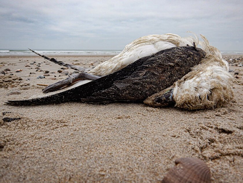 Kuehn-B03829 670.jpg