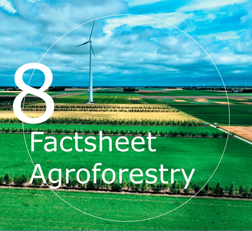 Factsheet Agroforestry 8