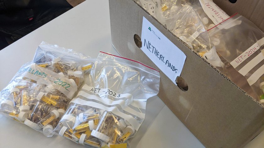 Elk potje hoort bij één van de aangespoelde stormvogels die Susanne Kühn heeft onderzocht. (Foto: Harm ten Napel)  