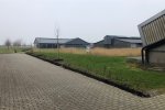 Lage beukenheg met daarachter hoogstamfruitbomen (i9 en p35-39_ Lage beukenheg met daarachter hoogstamfruitbomen (i9 en p35-39_
